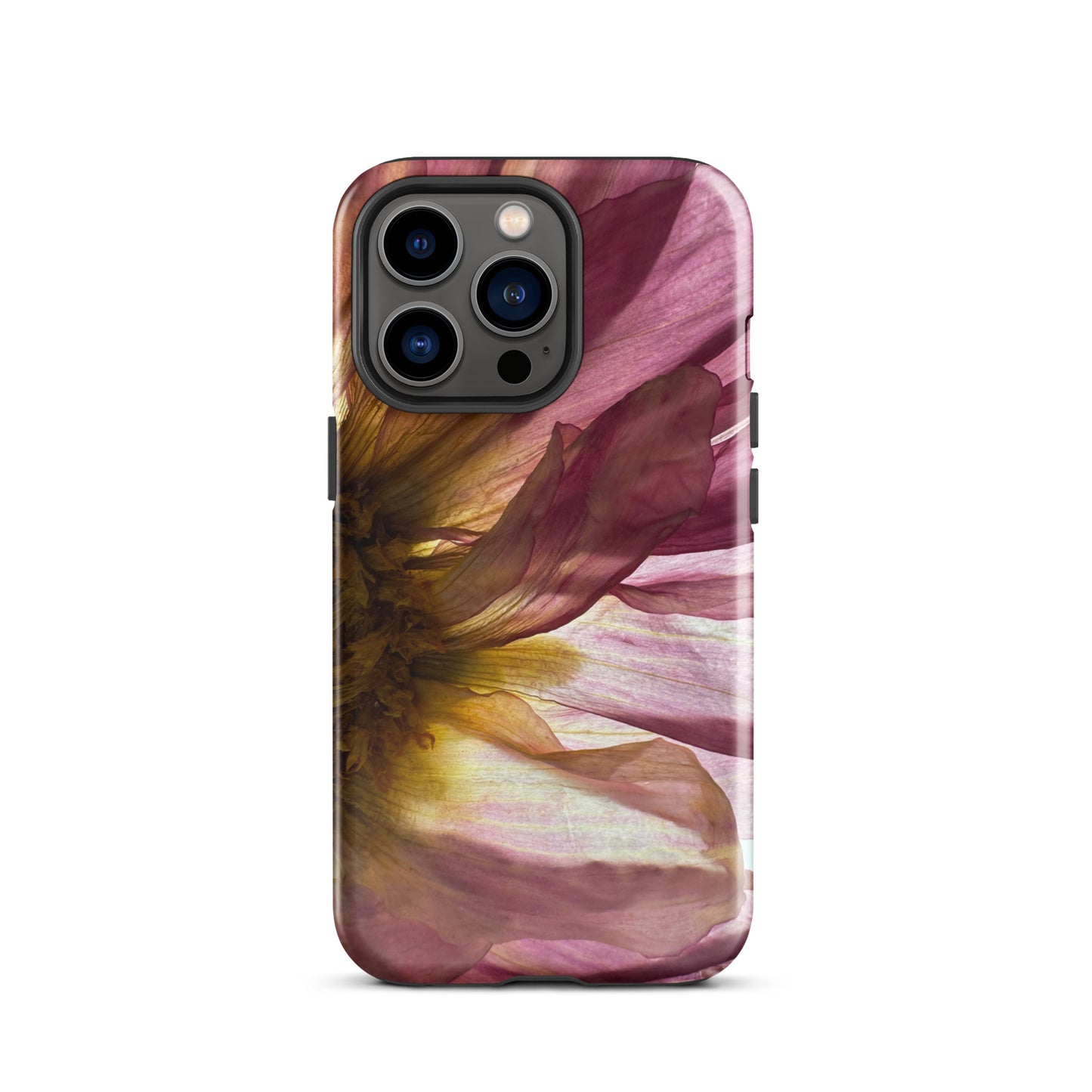 Pressed flower iphone 13 pro glossy case by Old Leaf Designs featuring close up botanical artwork of a pink Dahlia