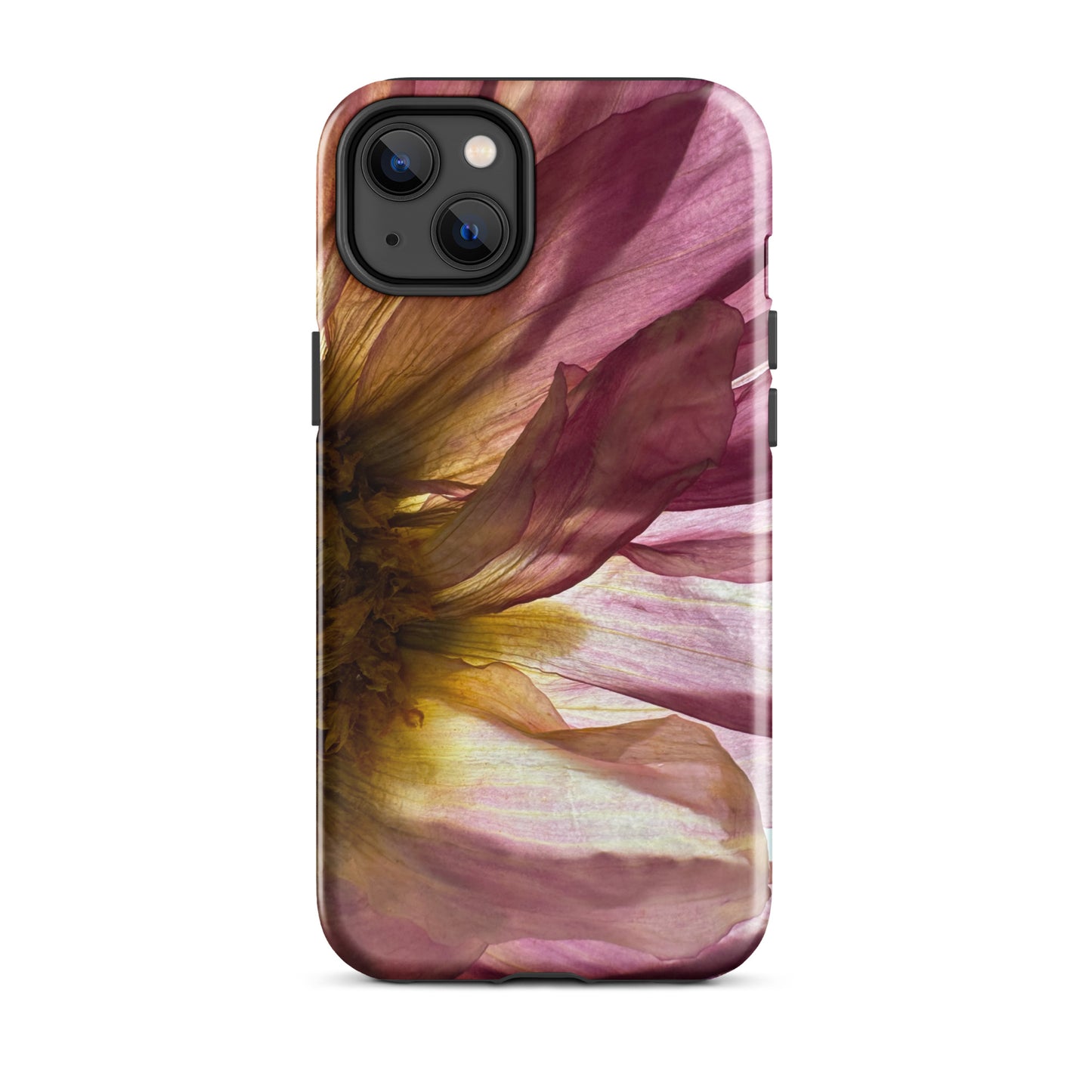 Pressed flower iphone 14 plus glossy case by Old Leaf Designs featuring close up botanical artwork of a pink Dahlia