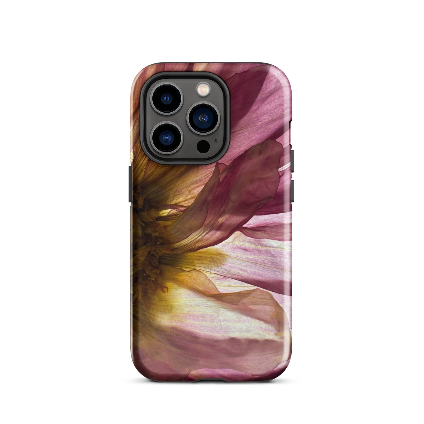 Pressed flower iphone 14 pro glossy case by Old Leaf Designs featuring close up botanical artwork of a pink Dahlia