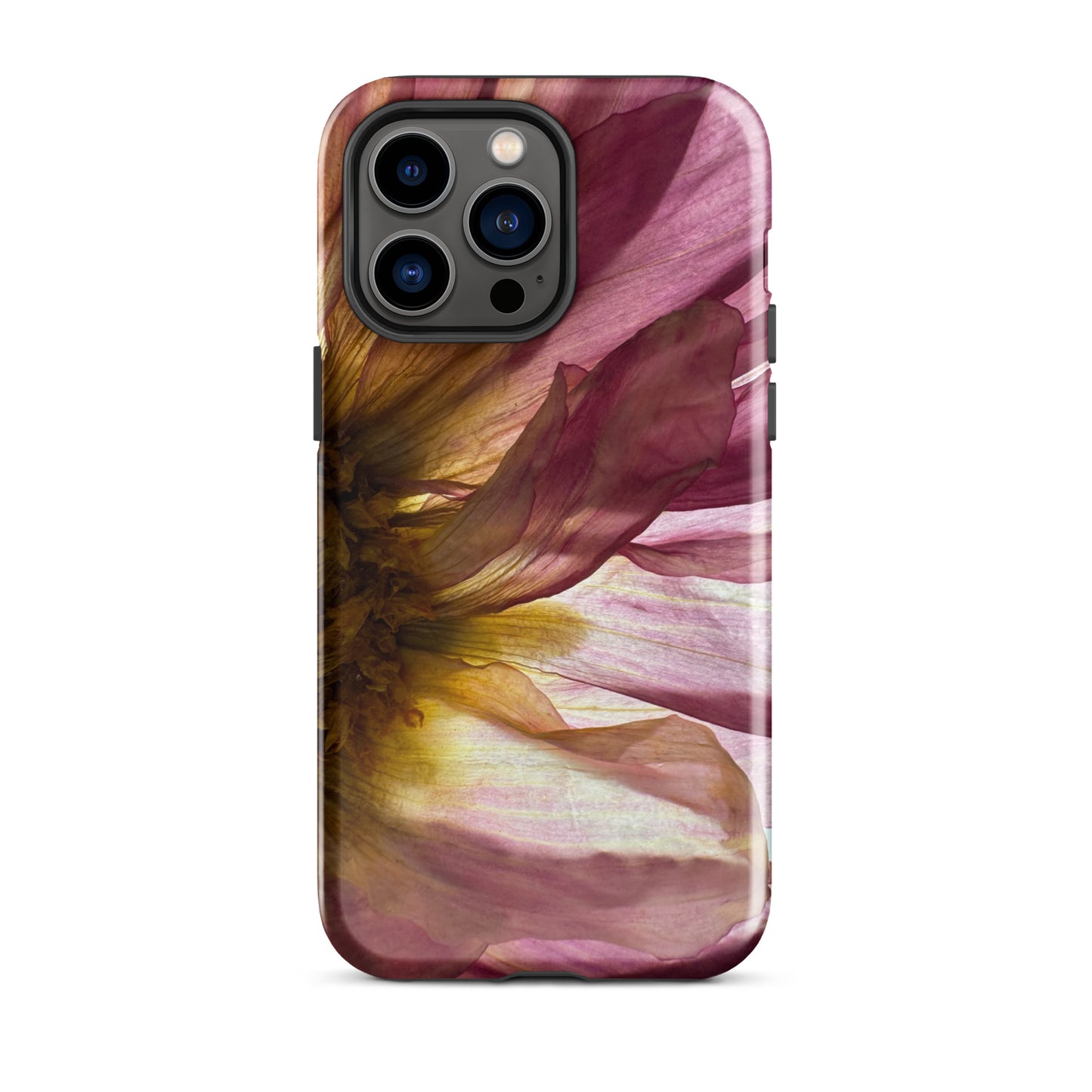 Pressed flower iphone 14 pro max glossy case by Old Leaf Designs featuring close up botanical artwork of a pink Dahlia