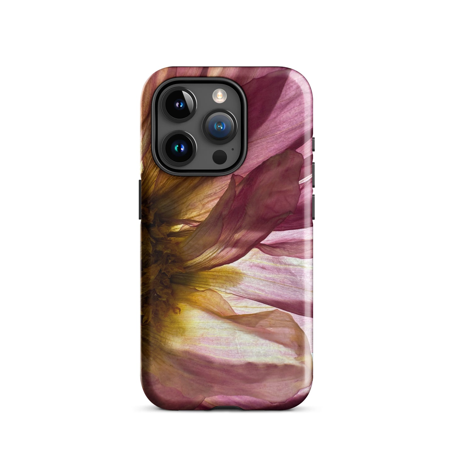 Pressed flower iphone 15 pro glossy case by Old Leaf Designs featuring close up botanical artwork of a pink Dahlia