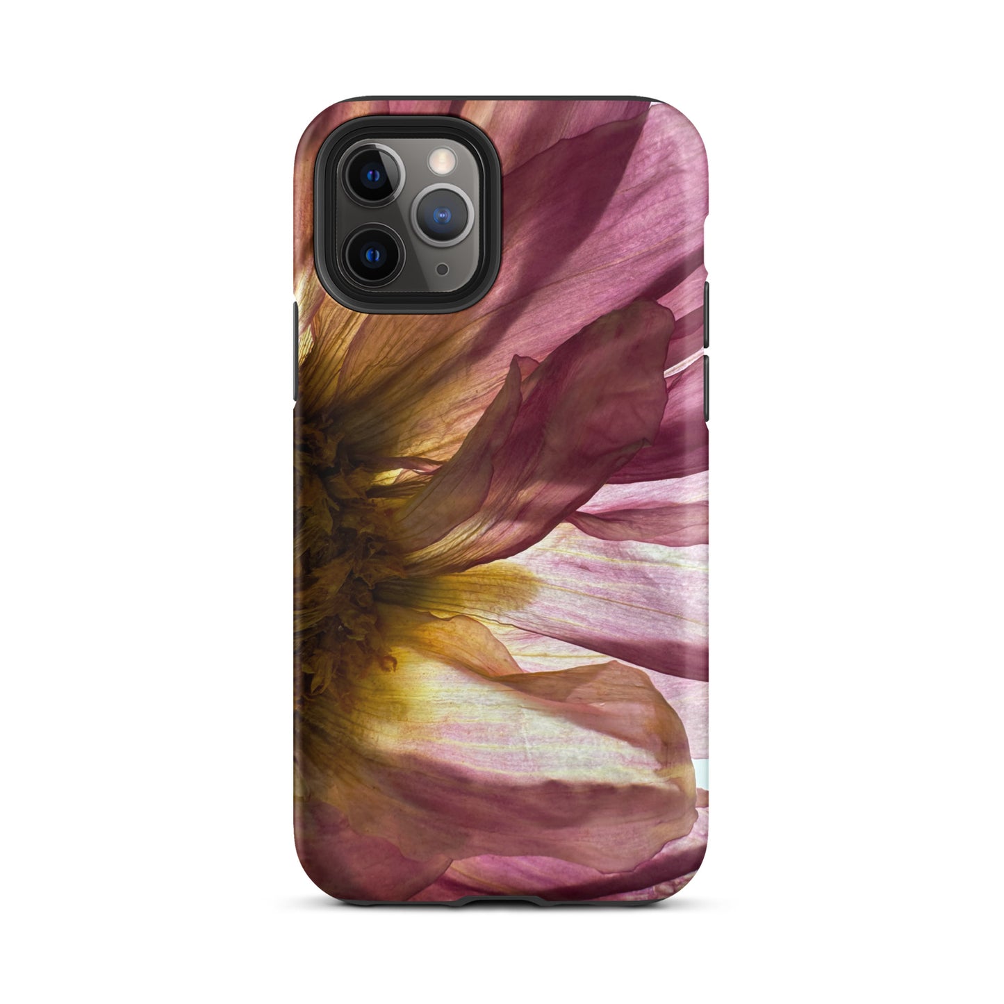 Pressed flower iphone 11 pro matte case by Old Leaf Designs featuring close up botanical artwork of a pink Dahlia