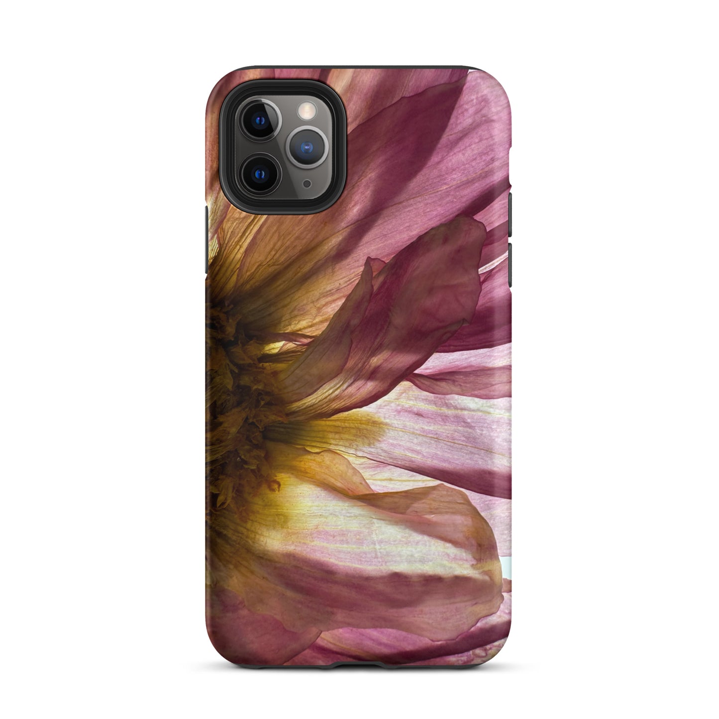 Pressed flower iphone 11 pro max matte case by Old Leaf Designs featuring close up botanical artwork of a pink Dahlia