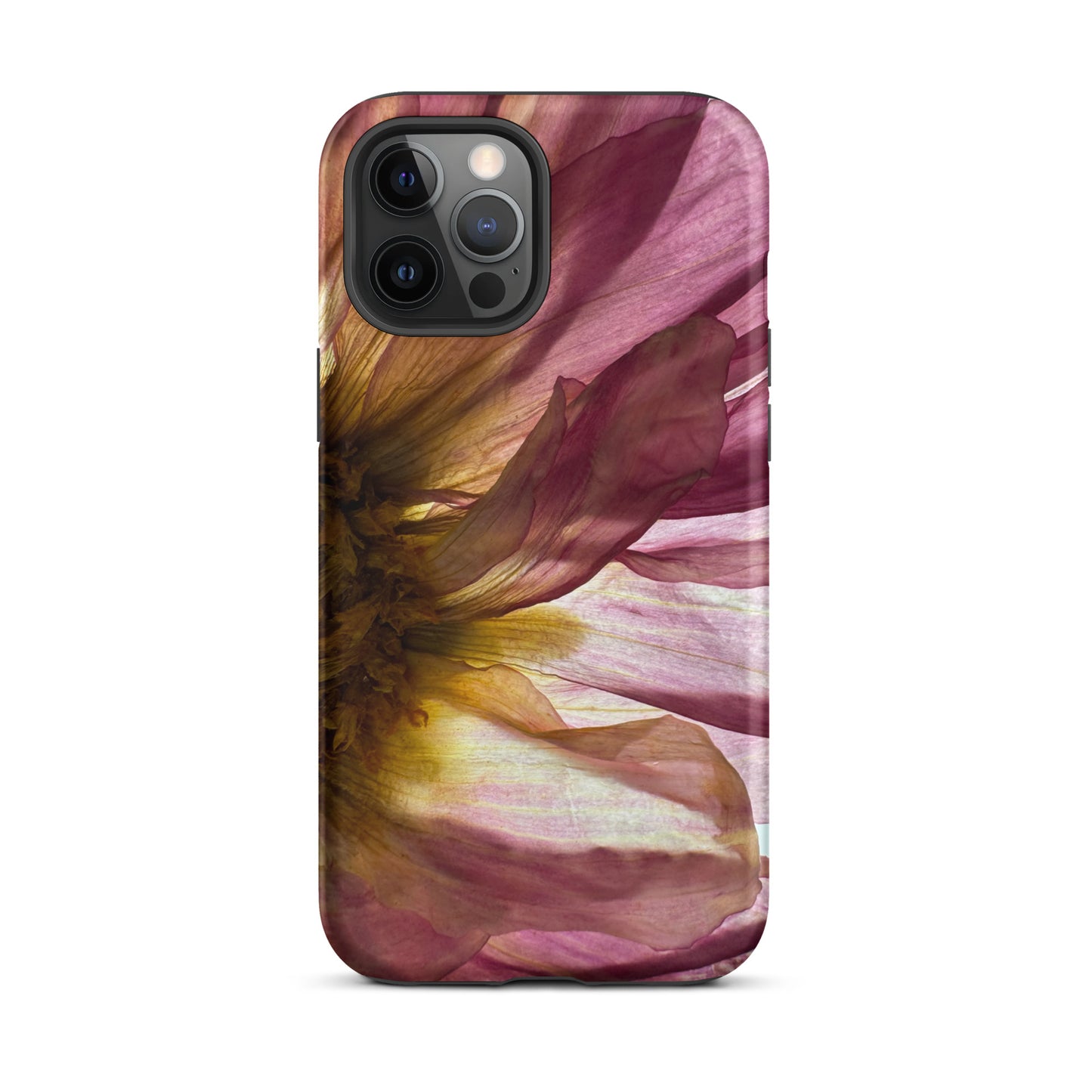 Pressed flower iphone 12 pro max matte case by Old Leaf Designs featuring close up botanical artwork of a pink Dahlia