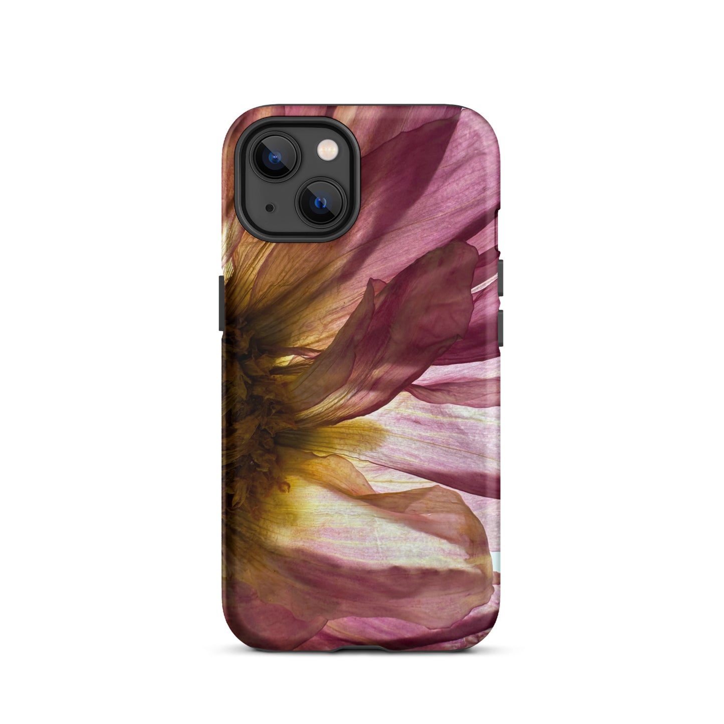 Pressed flower iphone 13 matte case by Old Leaf Designs featuring close up botanical artwork of a pink Dahlia