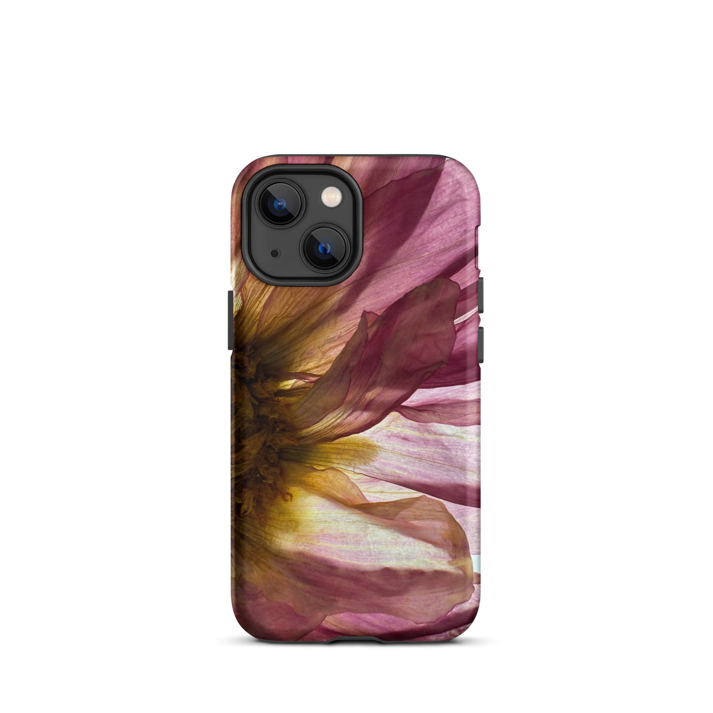 Pressed flower iphone 13 mini matte case by Old Leaf Designs featuring close up botanical artwork of a pink Dahlia