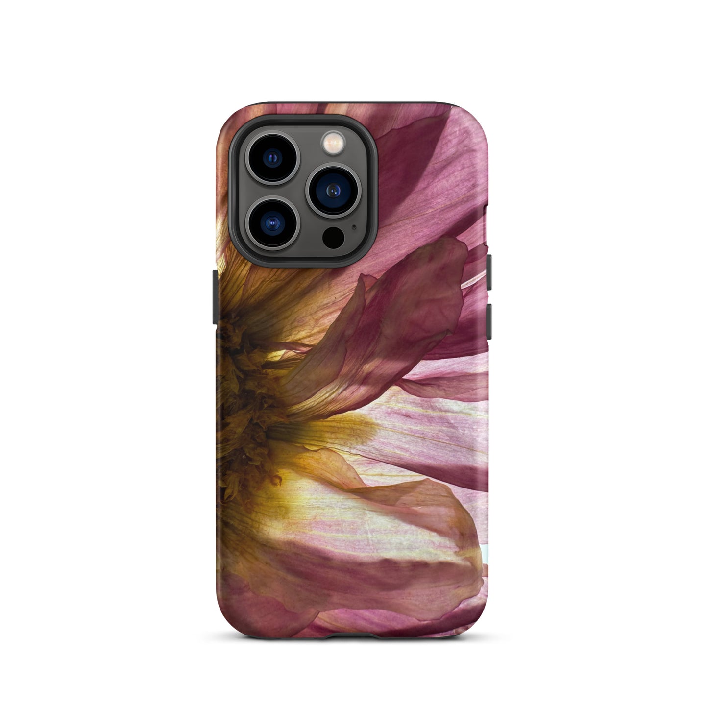 Pressed flower iphone 13 pro matte case by Old Leaf Designs featuring close up botanical artwork of a pink Dahlia