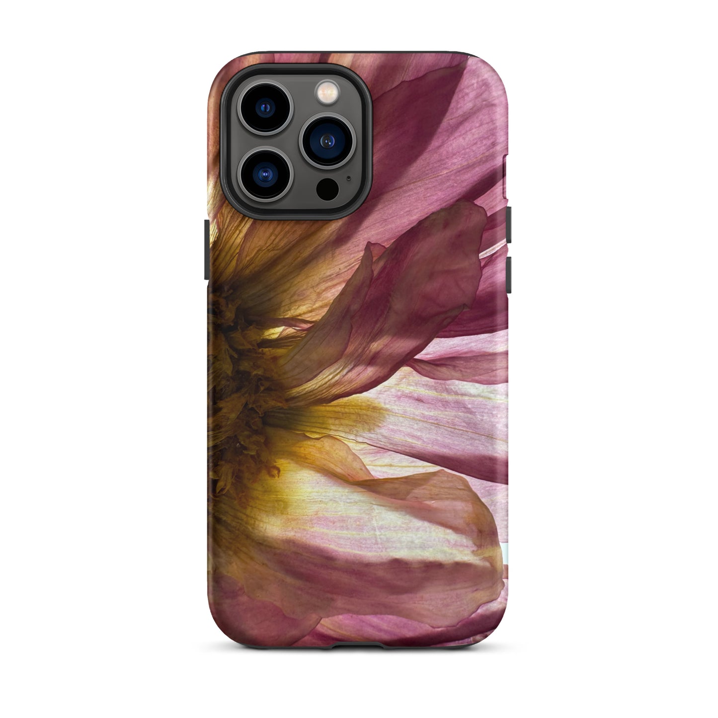 Pressed flower iphone 13 pro max matte case by Old Leaf Designs featuring close up botanical artwork of a pink Dahlia