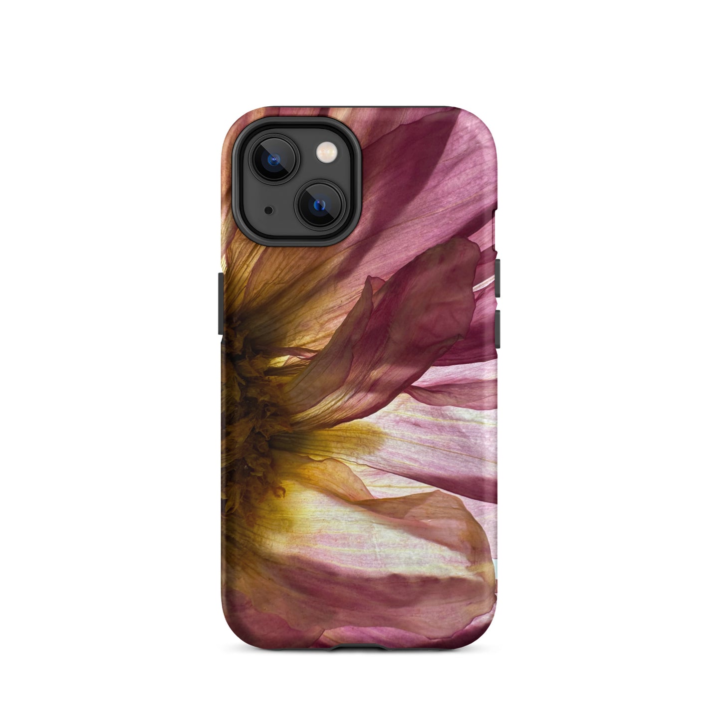Pressed flower iphone 14 matte case by Old Leaf Designs featuring close up botanical artwork of a pink Dahlia