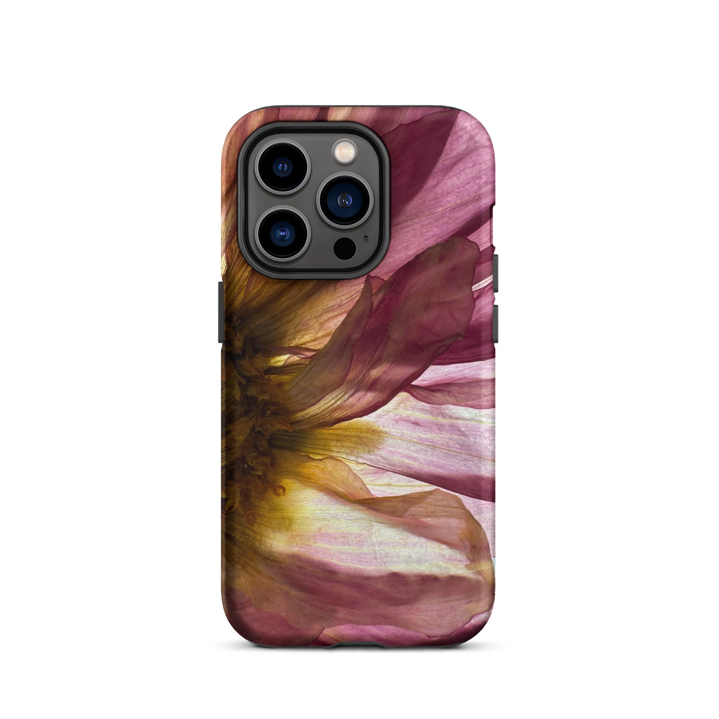 Pressed flower iphone 14 pro matte case by Old Leaf Designs featuring close up botanical artwork of a pink Dahlia