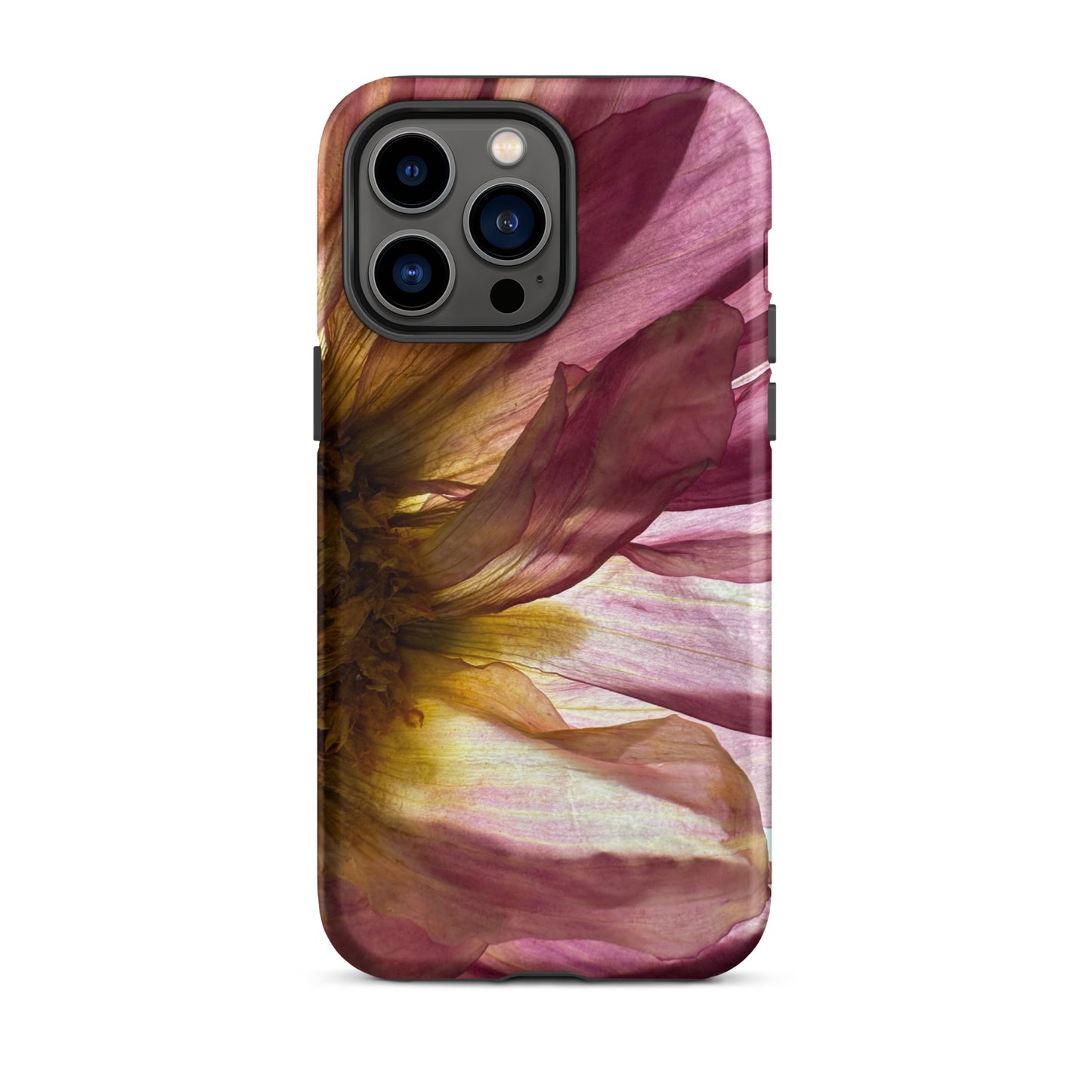Pressed flower iphone 14 pro max matte case by Old Leaf Designs featuring close up botanical artwork of a pink Dahlia