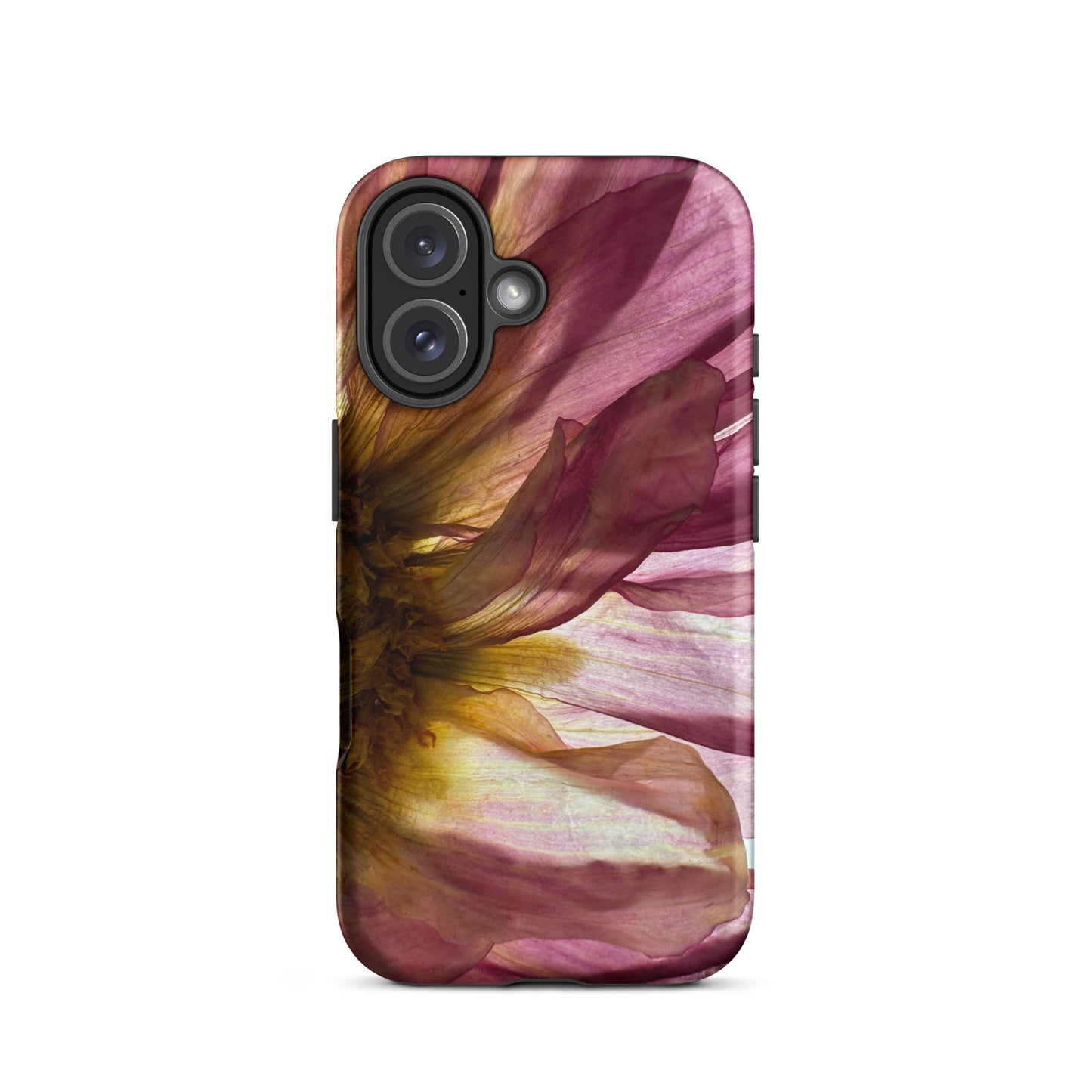 Pressed flower iphone 16 matte case by Old Leaf Designs featuring close up botanical artwork of a pink Dahlia